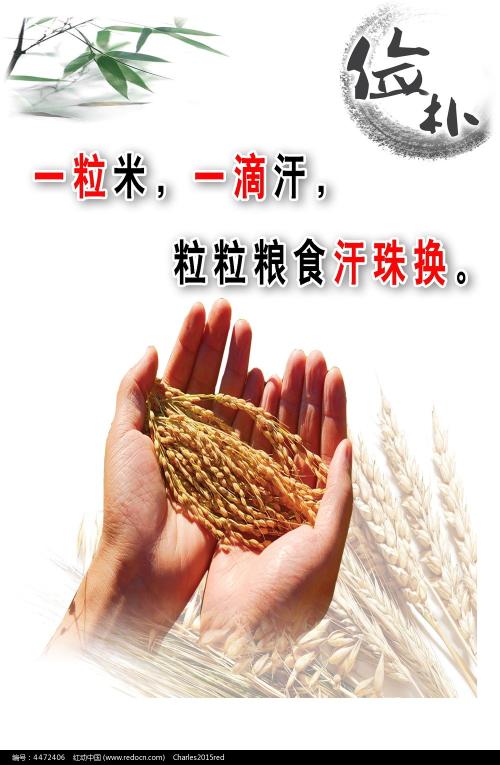 自考有学位证书么